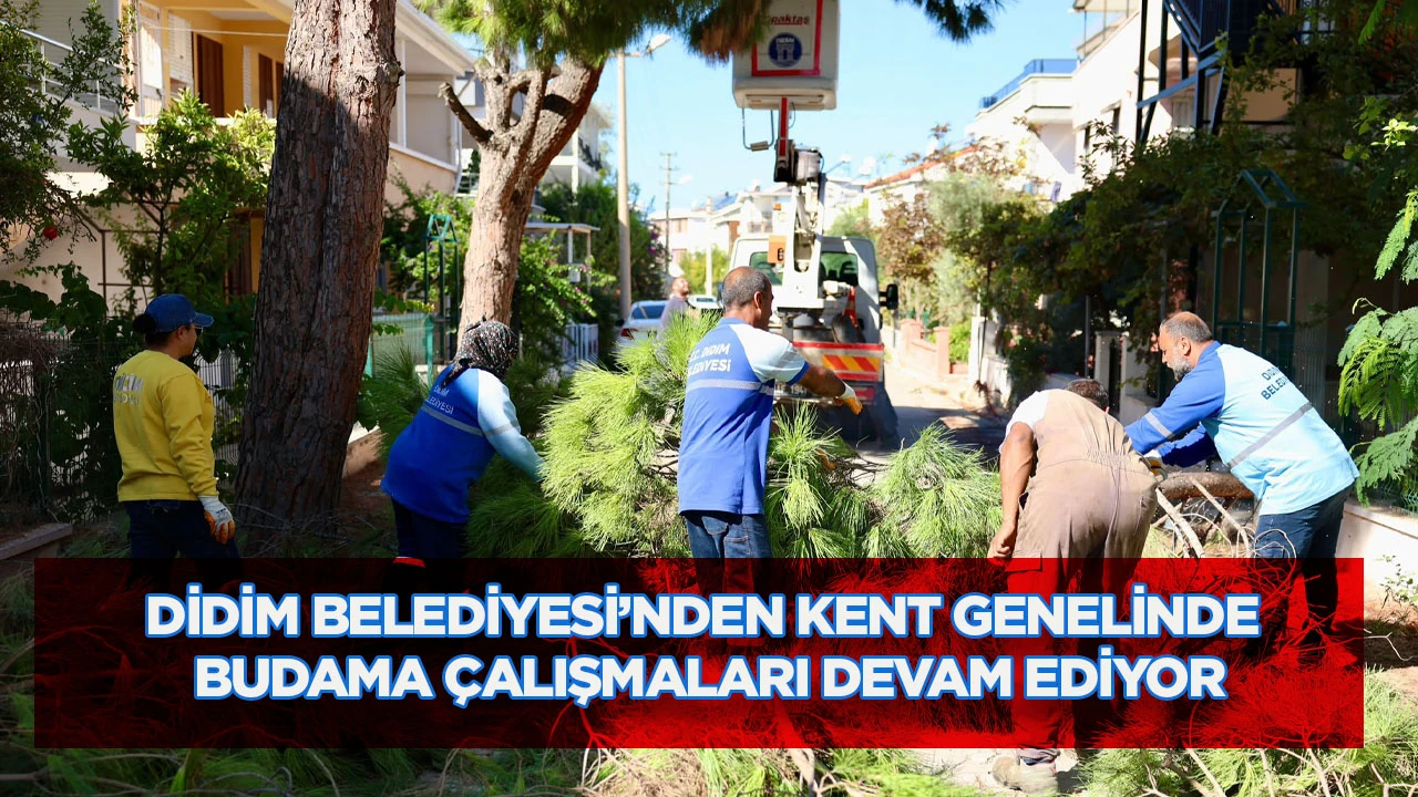 Didim Belediyesi&rsquo;nden Kent Genelinde Budama &Ccedil;alışmaları Devam Ediyor