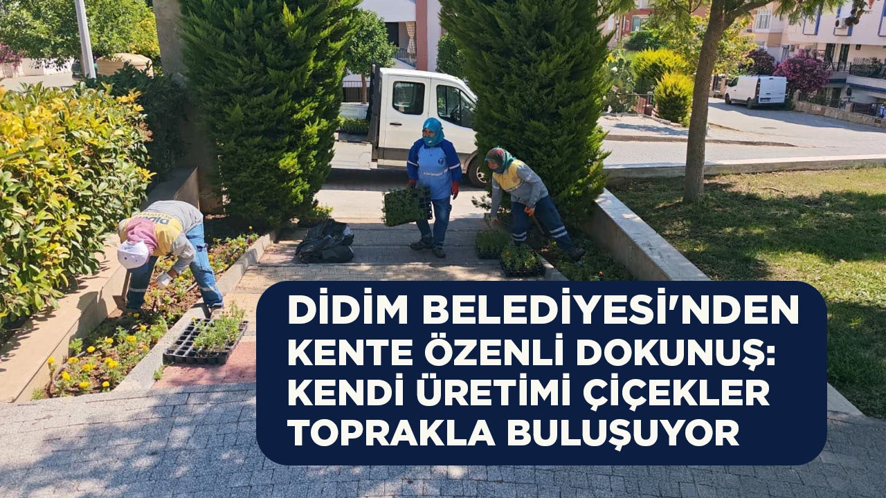 DİDİM BELEDİYESİ'NDEN KENTE &Ouml;ZENLİ DOKUNUŞ: KENDİ &Uuml;RETİMİ &Ccedil;İ&Ccedil;EKLER TOPRAKLA BULUŞUYOR