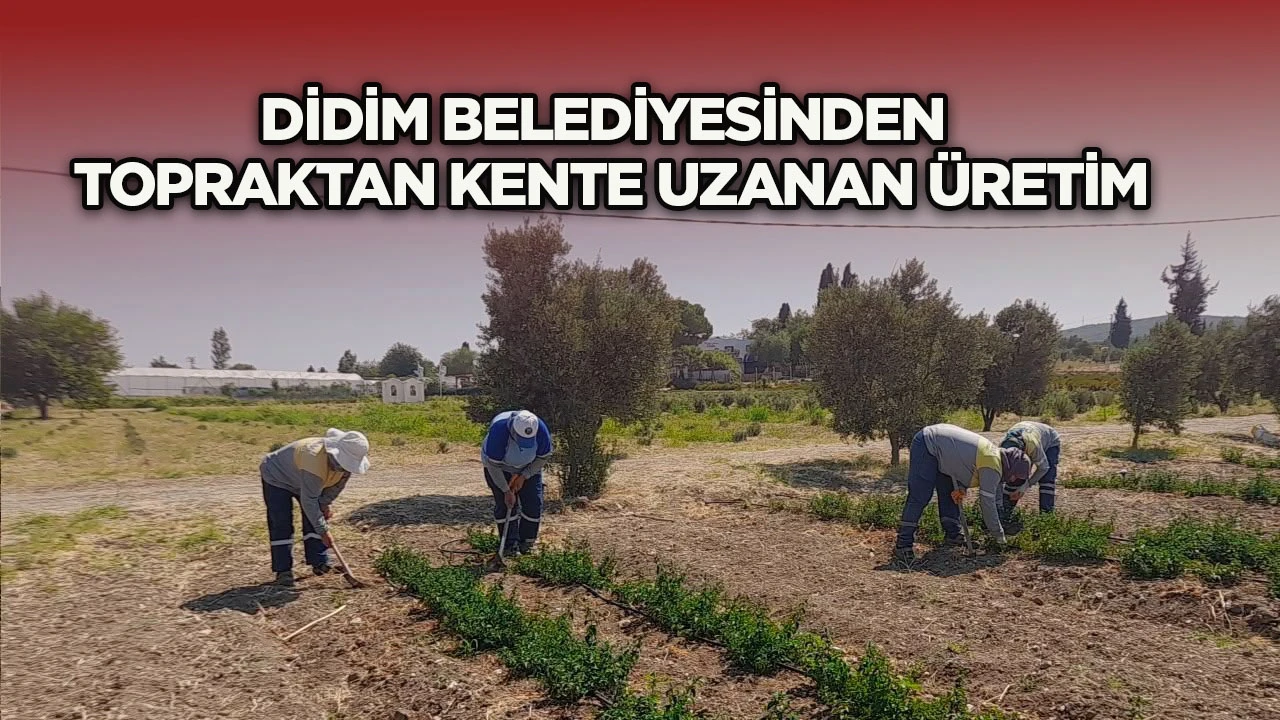 Didim Belediyesi&rsquo;nden topraktan kente uzanan &uuml;retim