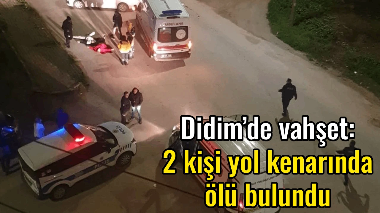 Didim&rsquo;de vahşet: 2 kişi yol kenarında &ouml;l&uuml; bulundu