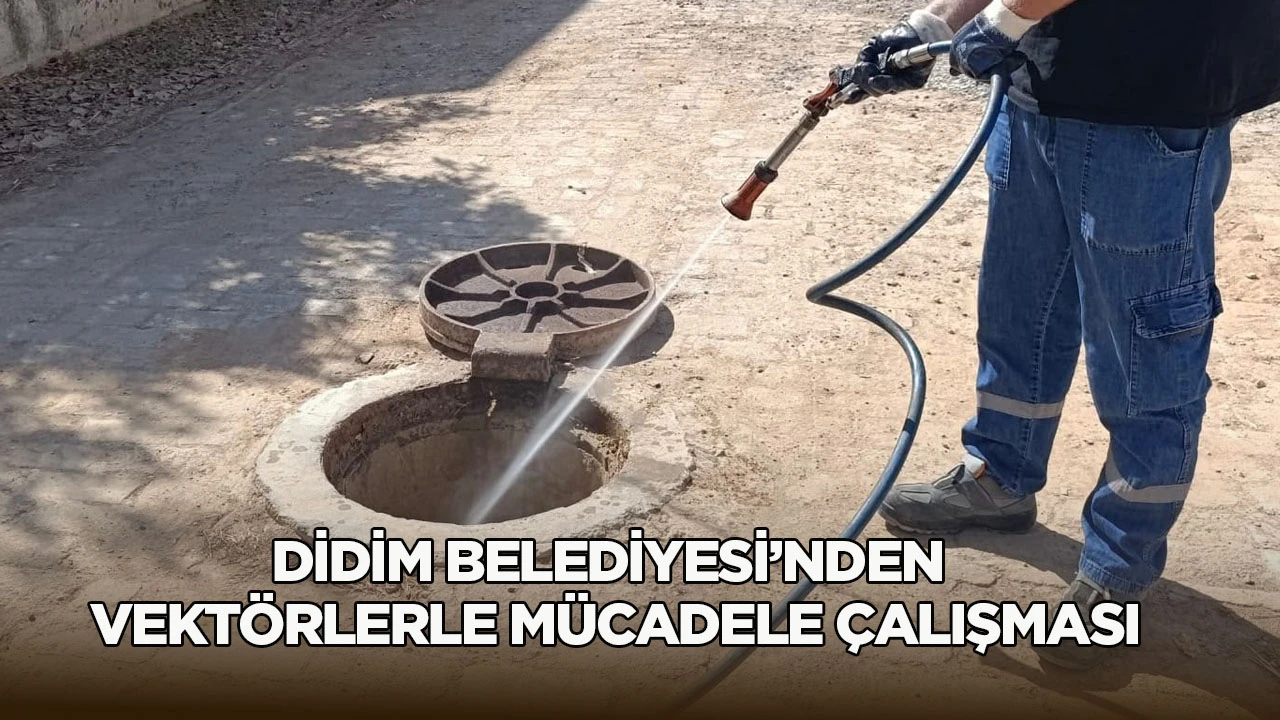 Didim genelinde r&ouml;gar ve kanalizasyon noktalarında d&uuml;zenli ila&ccedil;lama yapılıyor