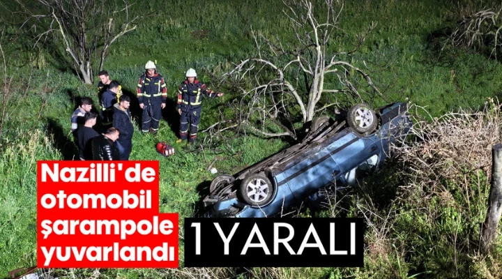 Domuza &ccedil;arptı, şarampole yuvarlandı