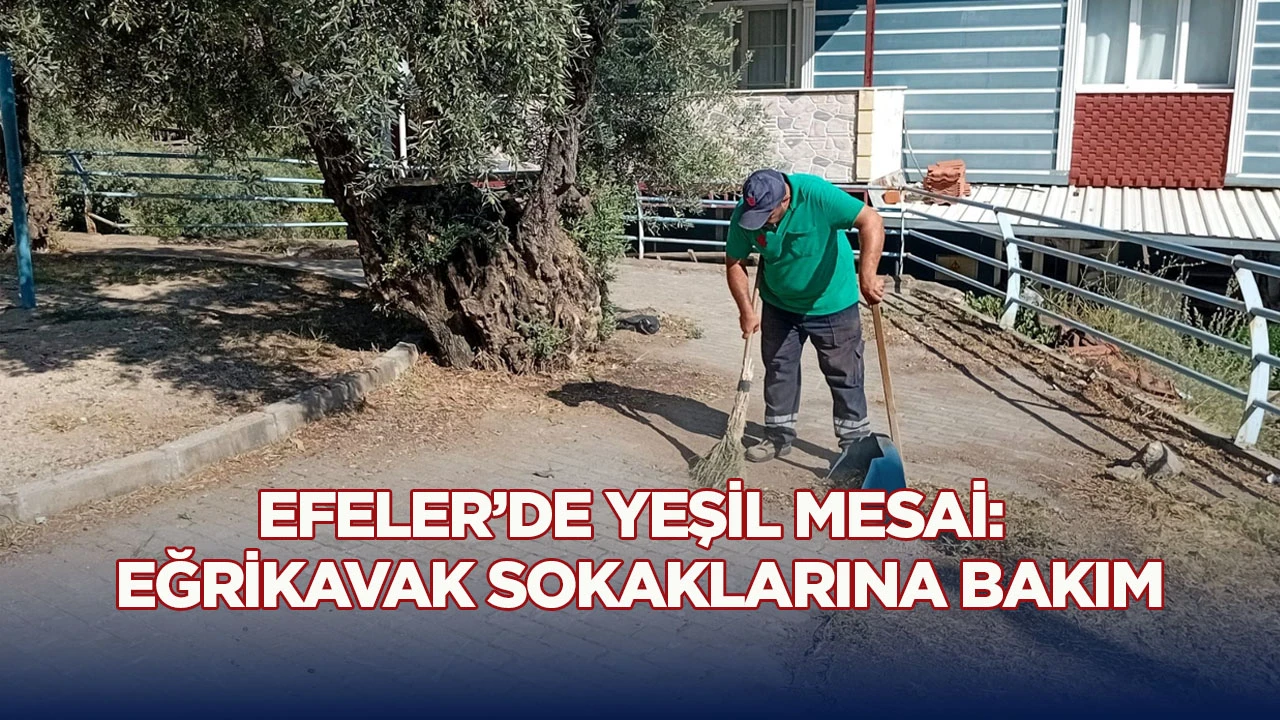 Efeler&rsquo;de yeşil mesai: Eğrikavak sokaklarına bakım
