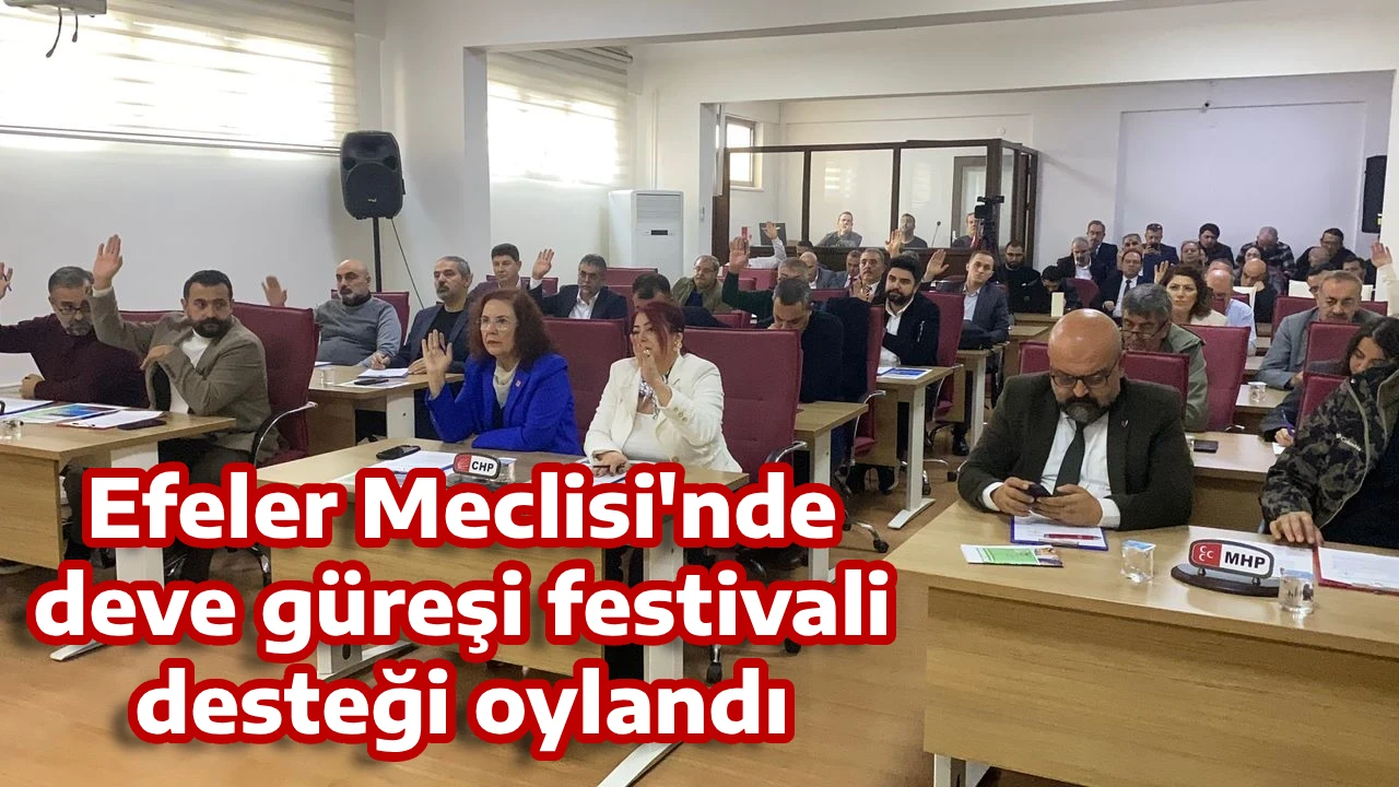 Efeler Meclisi'nde deve g&uuml;reşi festivali desteği oylandı