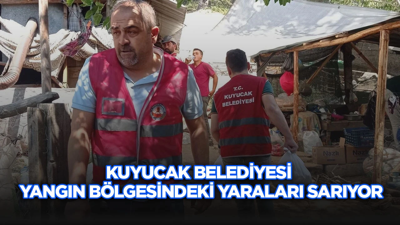 Kuyucak Belediyesi yangın b&ouml;lgesindeki yaraları sarıyor