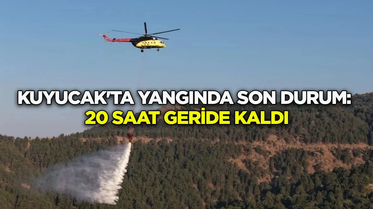 Kuyucak'ta yangında son durum: 20 saat geride kaldı