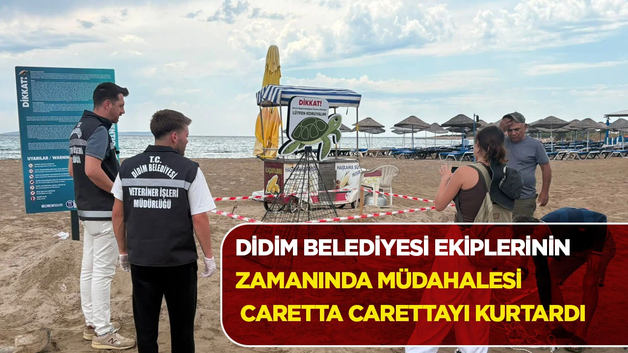 Manastır Koyu&rsquo;nda Yaşam M&uuml;cadelesi