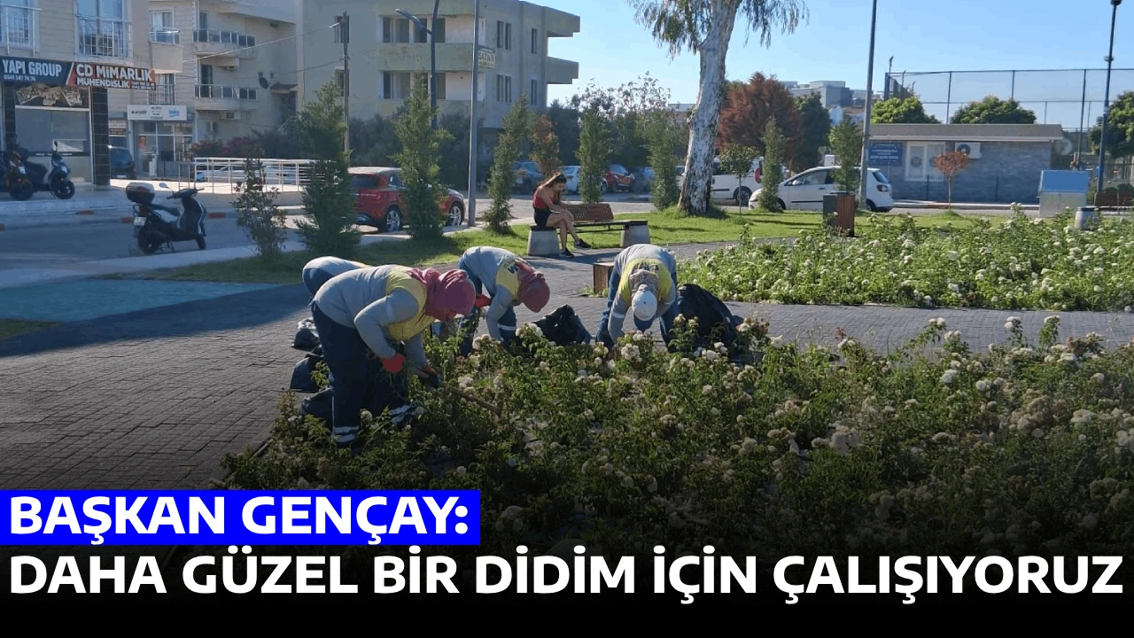 “BAŞKAN GENÇAY: DAHA GÜZEL BİR DİDİM İÇİN ÇALIŞIYORUZ”