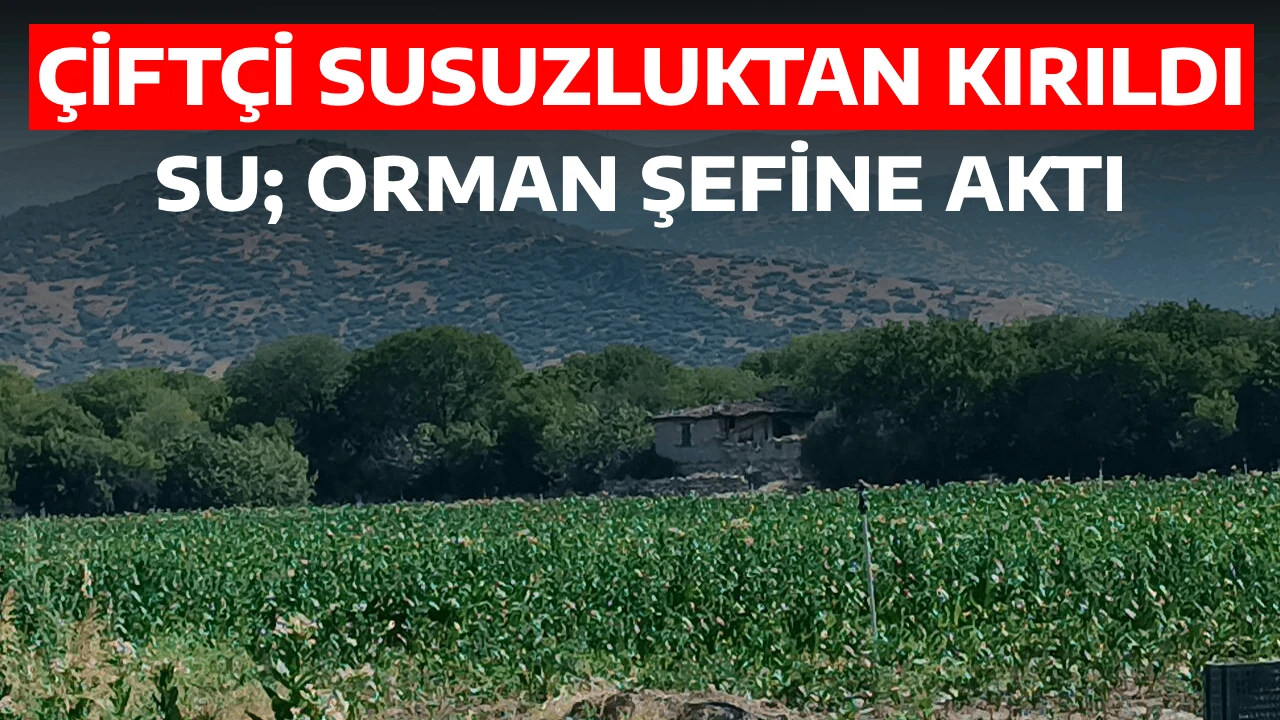 &Ccedil;İFT&Ccedil;İ SUSUZLUKTAN KIRILDI, SU; ORMAN ŞEFİNE AKTI