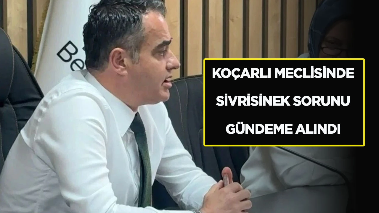 KO&Ccedil;ARLI MECLİSİNDE SİVRİSİNEK SORUNU G&Uuml;NDEME ALINDI