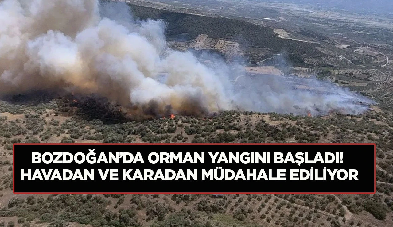 BOZDOĞAN&rsquo;DA ORMAN YANGINI BAŞLADI! HAVADAN VE KARADAN M&Uuml;DAHALE EDİLİYOR