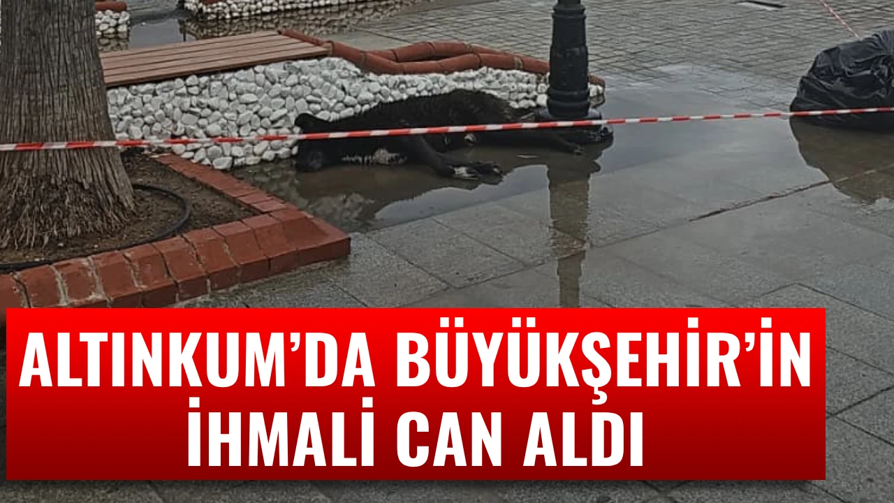 ALTINKUM&rsquo;DA B&Uuml;Y&Uuml;KŞEHİR&rsquo;İN İHMALİ CAN ALDI