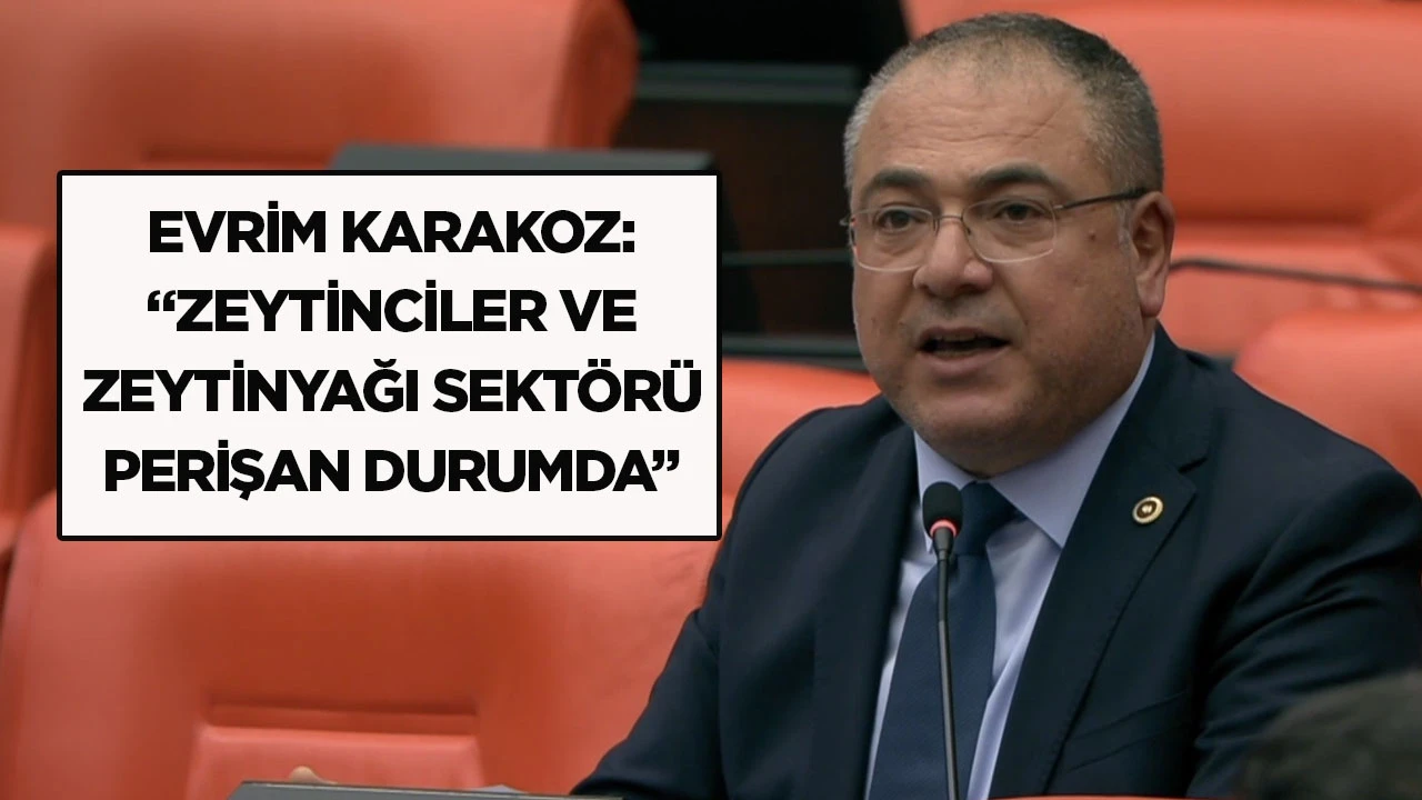 EVRİM KARAKOZ: ZEYTİNCİLER VE ZEYTİNYAĞI SEKT&Ouml;R&Uuml; PERİŞAN DURUMDA