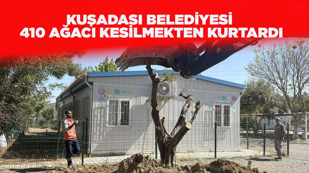 KUŞADASI BELEDİYESİ 410 AĞACI KESİLMEKTEN KURTARDI