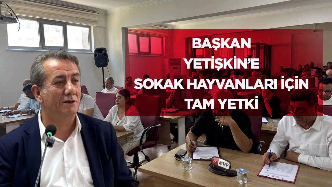 BAŞKAN YETİŞKİN&rsquo;E SOKAK HAYVANLARI İ&Ccedil;İN TAM YETKİ