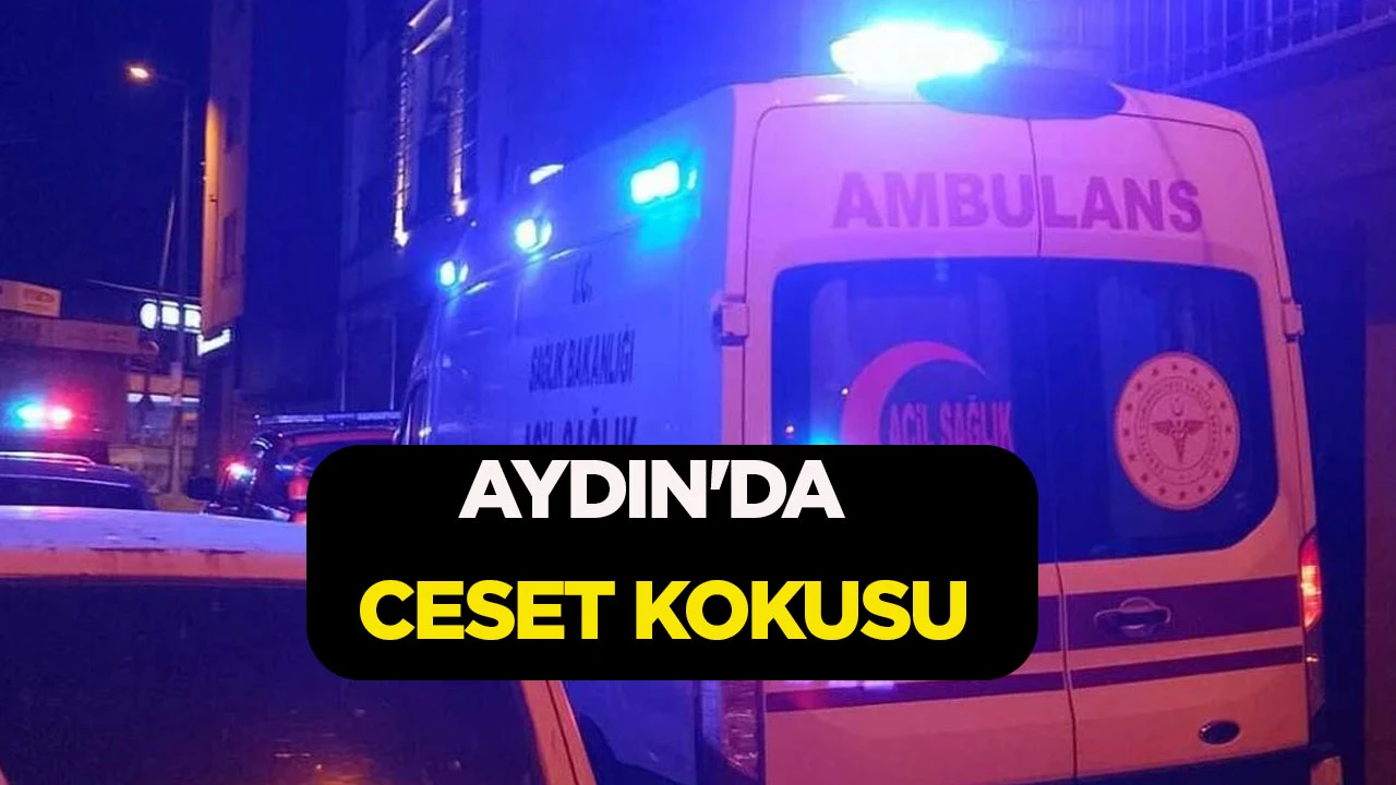 AYDIN'DA CESET KOKUSU