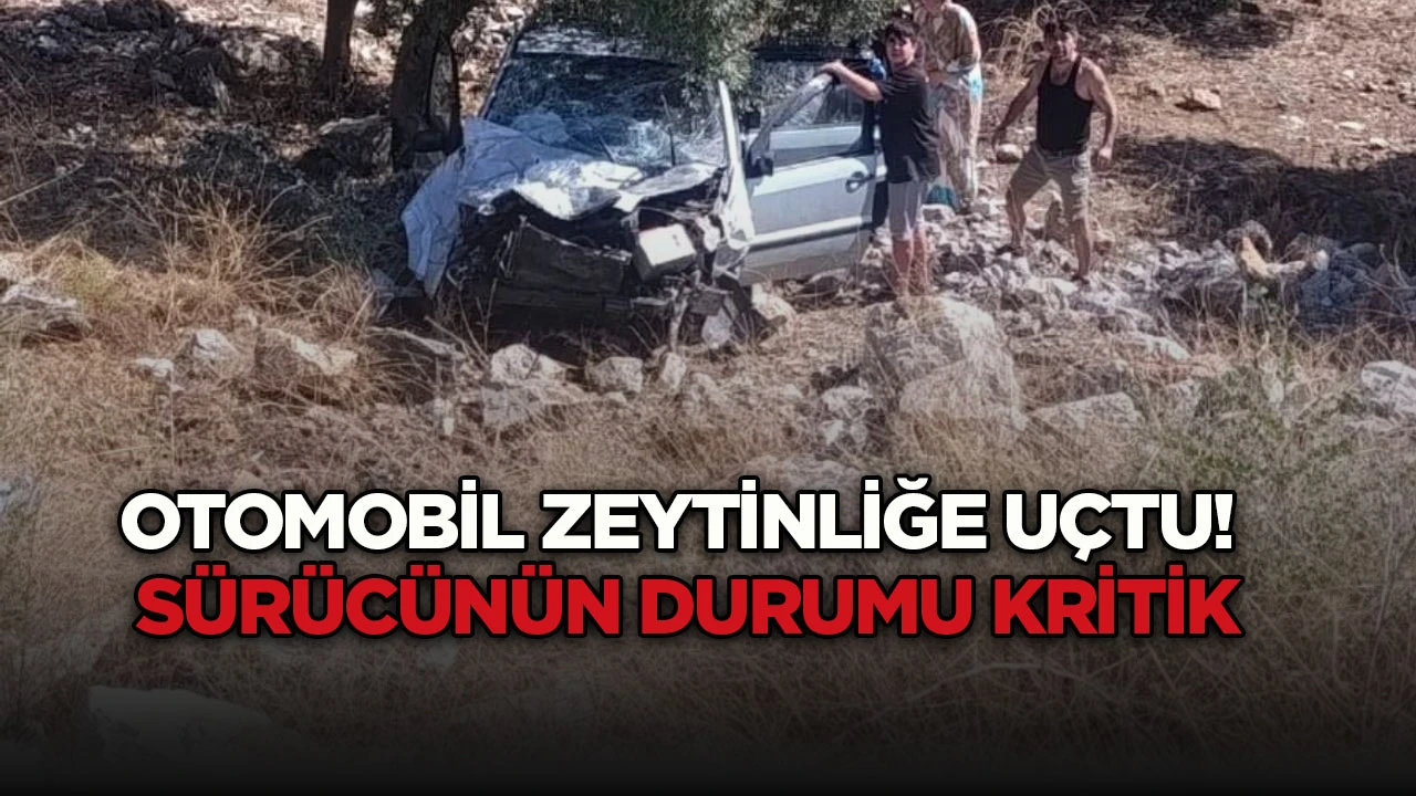 Otomobil zeytinliğe u&ccedil;tu! S&uuml;r&uuml;c&uuml;n&uuml;n durumu kritik
