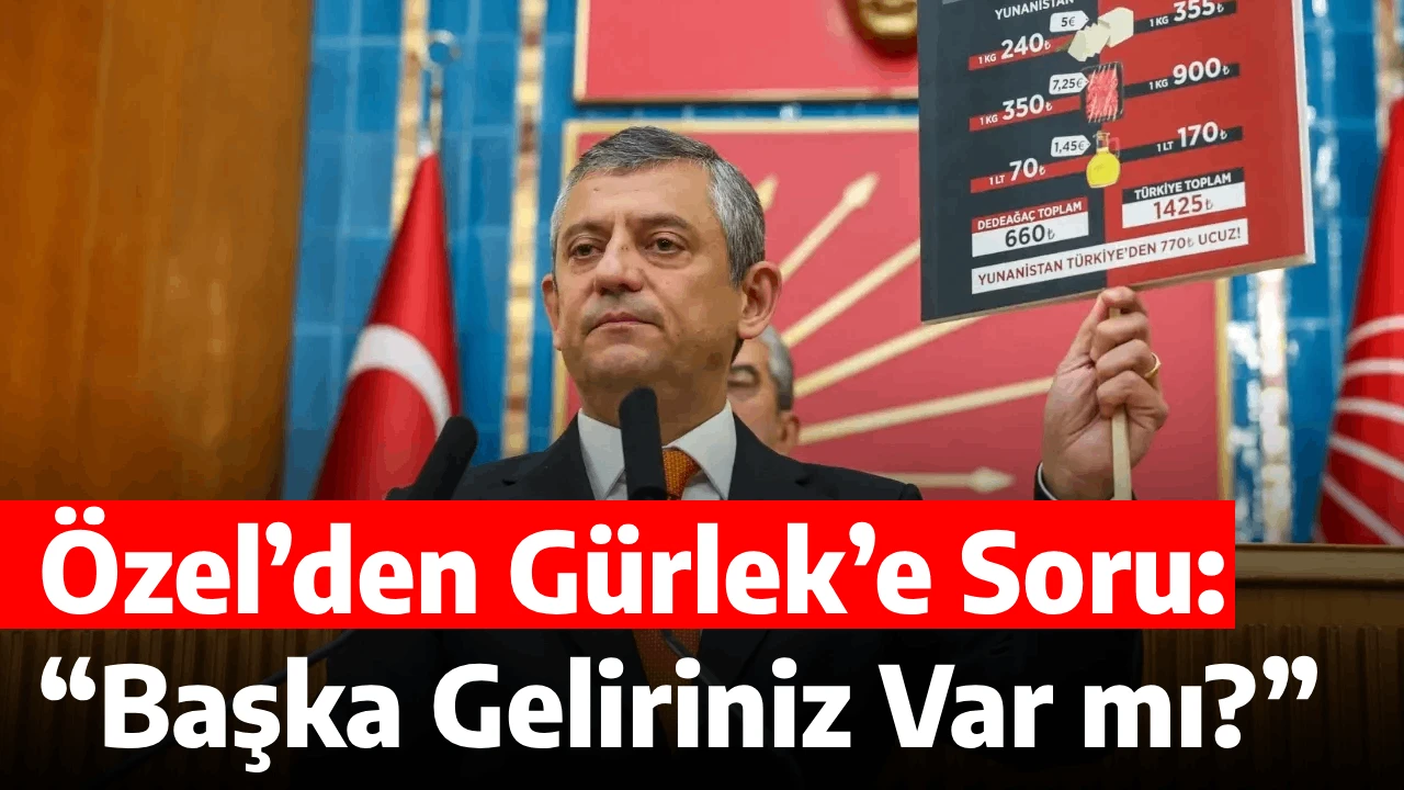 &Ouml;zel&rsquo;den G&uuml;rlek&rsquo;e Soru: &ldquo;Başka Geliriniz Var mı?&rdquo;