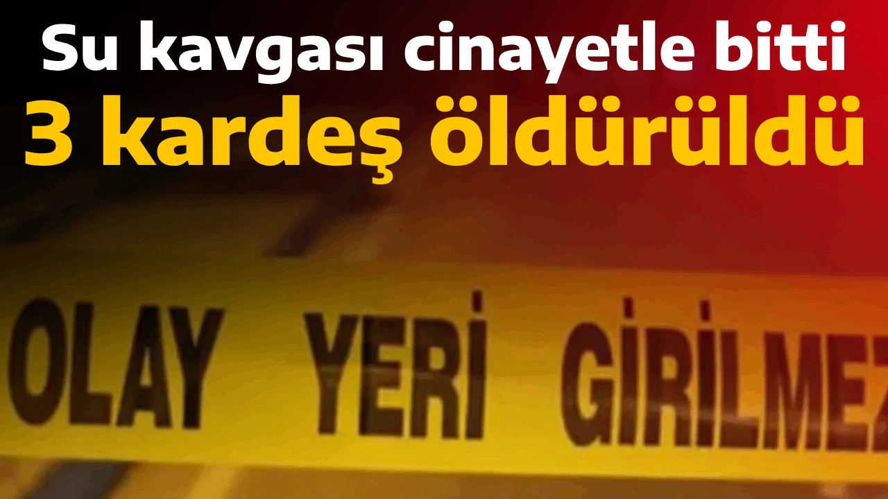 Su kavgası cinayetle bitti, 3 kardeş öldürüldü