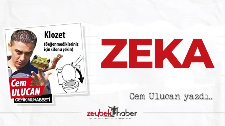 ZEKA!
