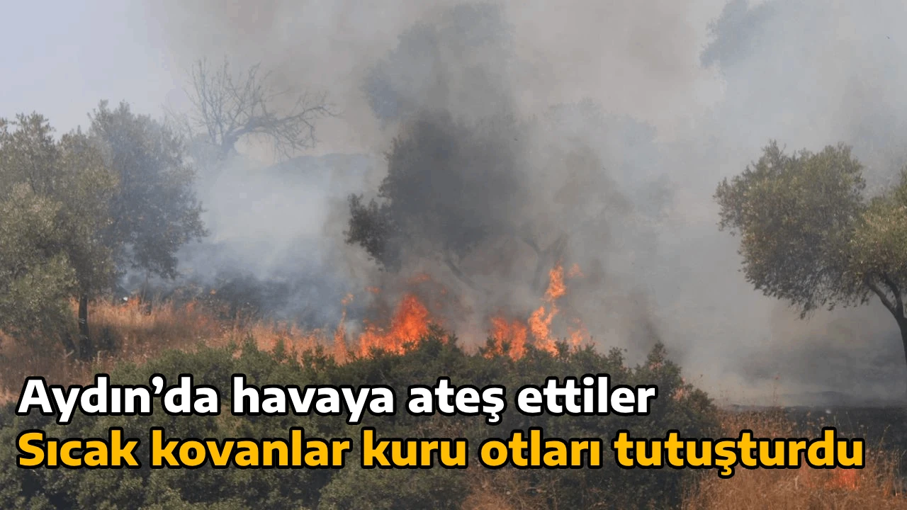 Aydın’da havaya ateş ettiler, Sıcak kovanlar kuru otları tutuşturdu