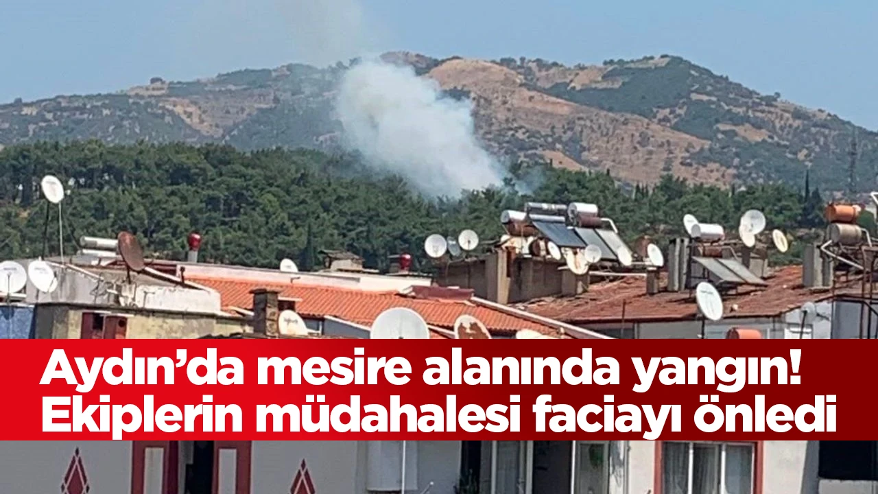 Aydın’da mesire alanında yangın! Ekiplerin müdahalesi faciayı önledi