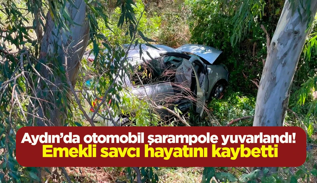 Aydın’da otomobil şarampole yuvarlandı! Emekli savcı hayatını kaybetti