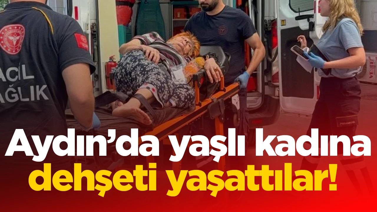 Aydın’da yaşlı kadına dehşeti yaşattılar!