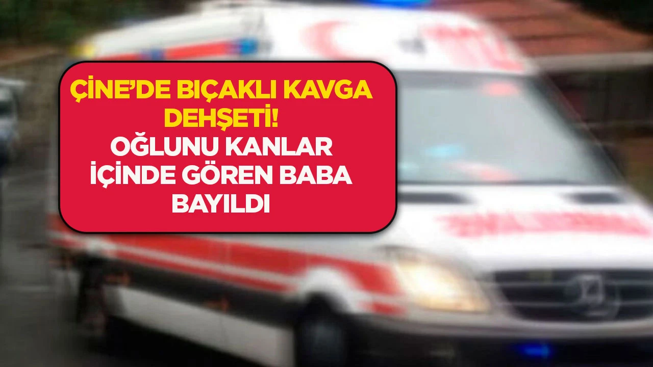 Çine'de bıçaklı kavga dehşeti! Oğlunu kanlar içinde gören baba bayıldı