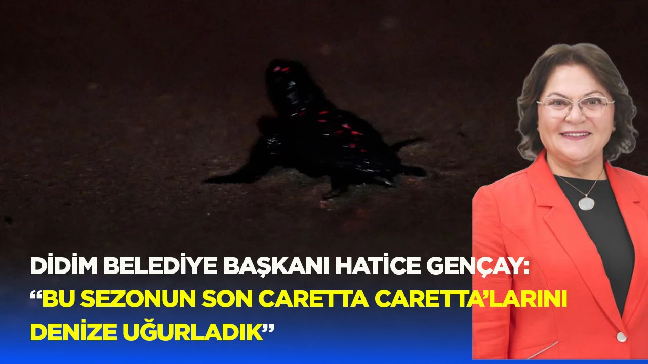 Didim Belediye Başkanı Hatice Gen&ccedil;ay: &ldquo;Bu sezonun son caretta caretta&rsquo;larını denize uğurladık&rdquo;