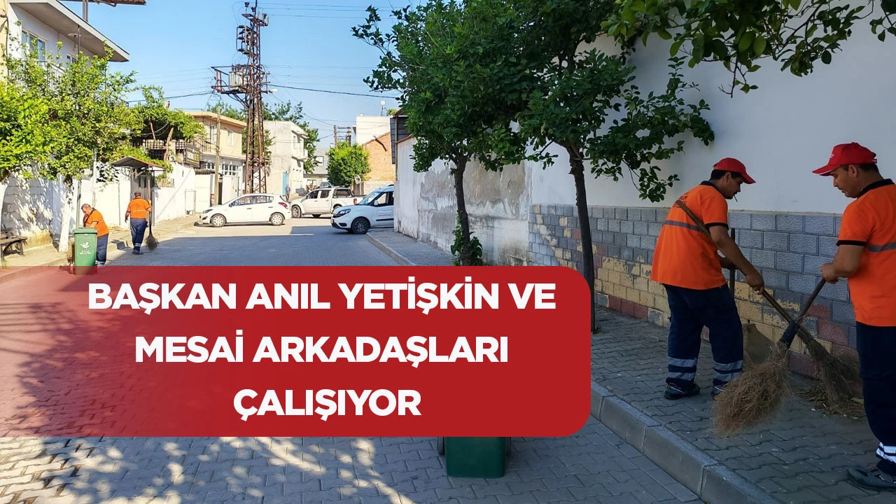 EFELER DAHA TEMİZ VE DAHA KONFORLU HALE GELİYOR