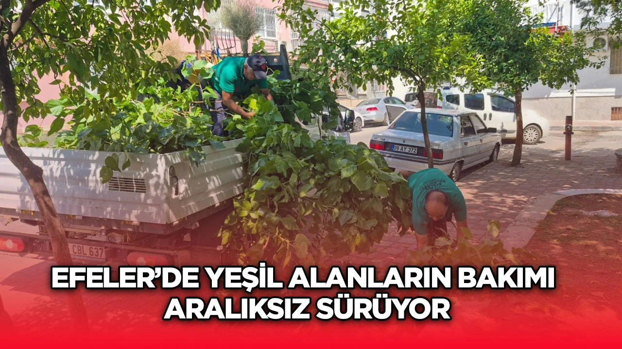 Efeler&rsquo;de yeşil alanların bakımı aralıksız s&uuml;r&uuml;yor