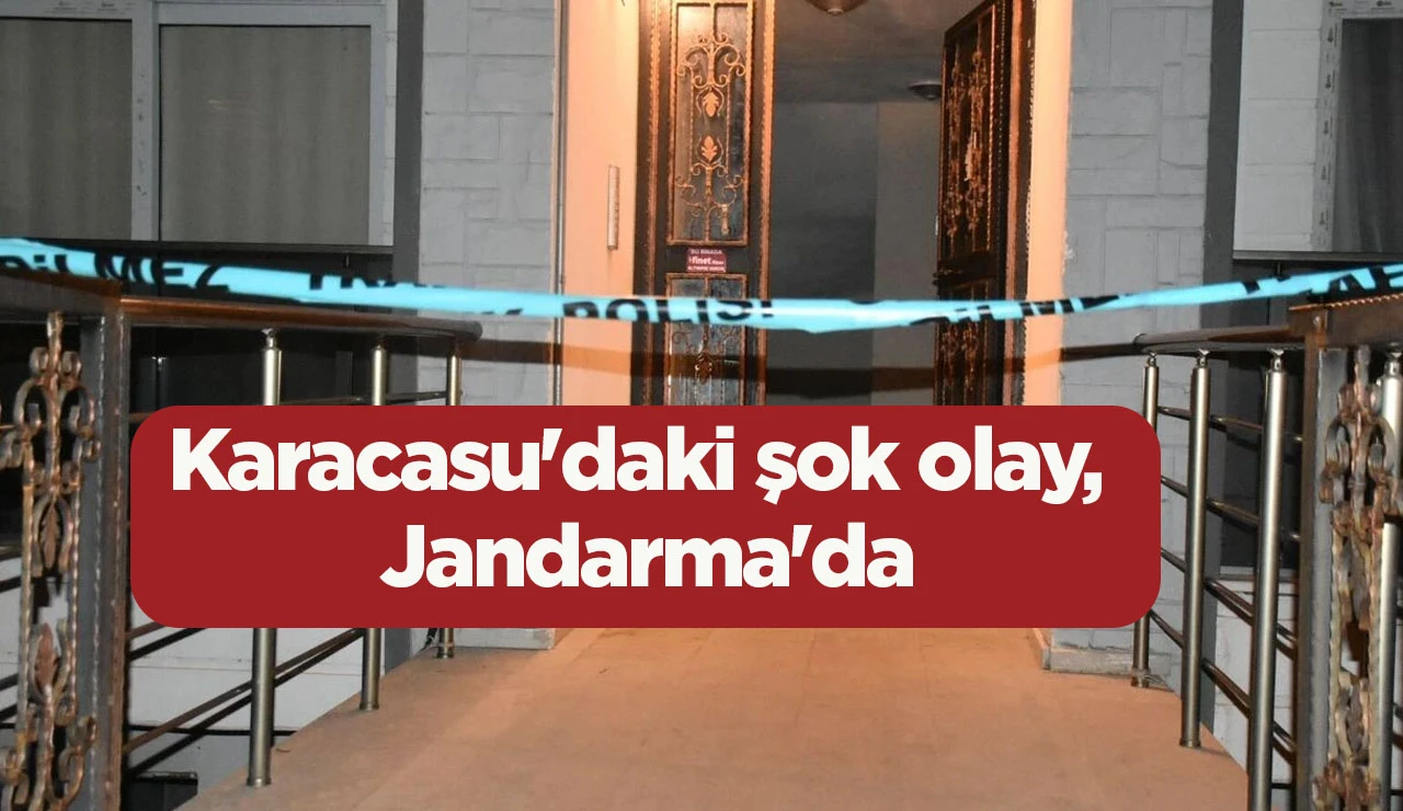 Karacasu'daki şok olay, Jandarma'da