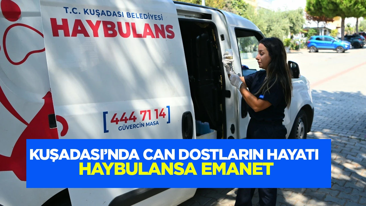 Kuşadası’nda can dostların hayatı Haybulansa emanet