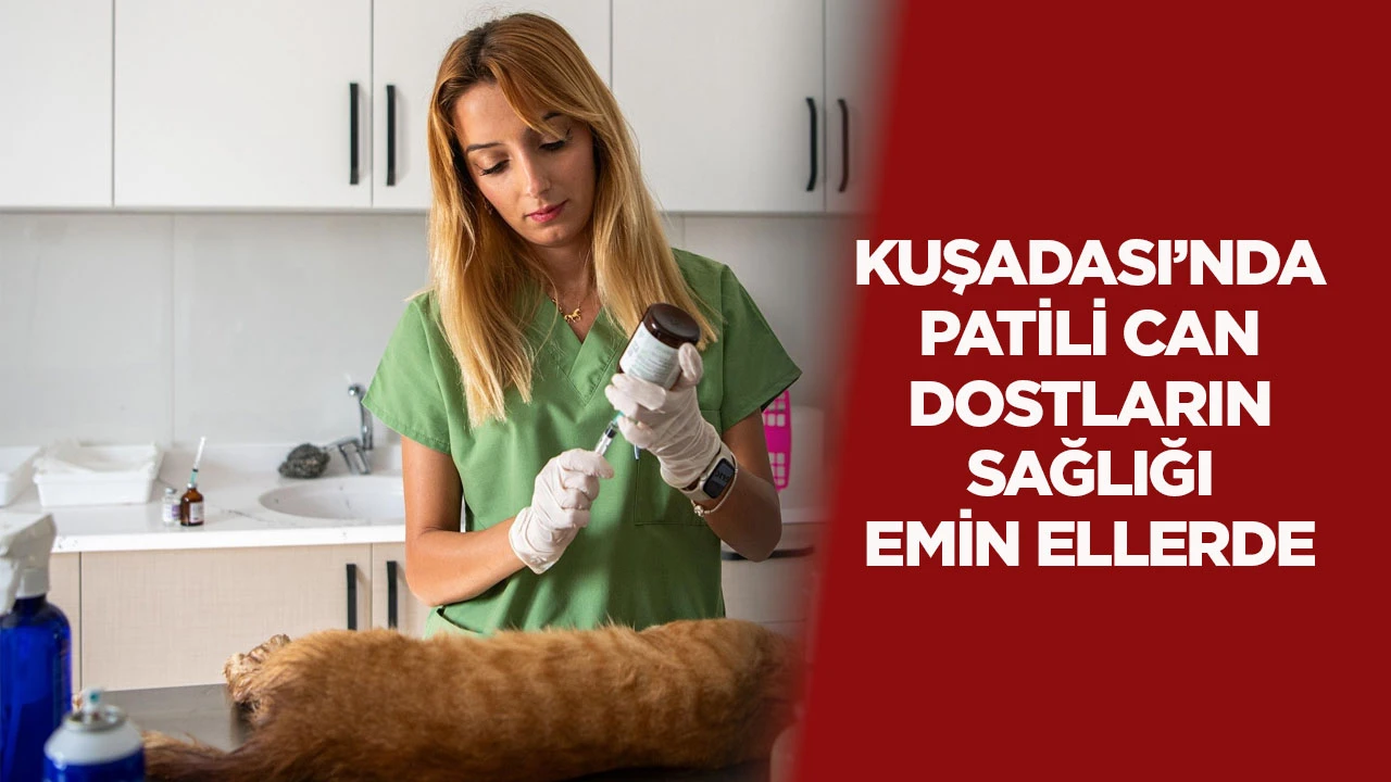 Kuşadası’nda patili can dostların sağlığı emin ellerde