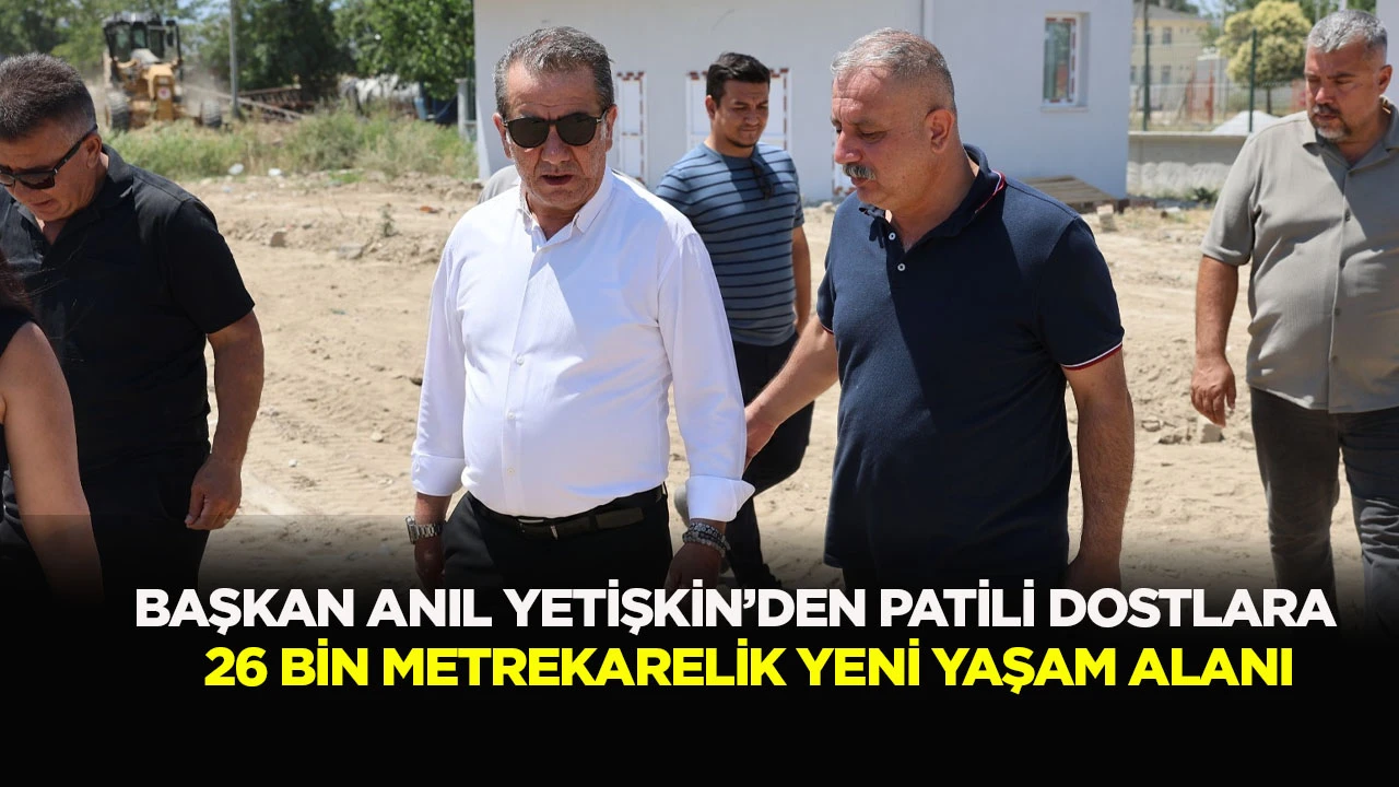 BAŞKAN ANIL YETİŞKİN’DEN PATİLİ DOSTLARA 26 BİN METREKARELİK YENİ YAŞAM ALANI