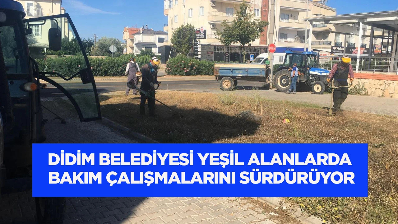DİDİM BELEDİYESİ YEŞİL ALANLARDA BAKIM ÇALIŞMALARINI SÜRDÜRÜYOR