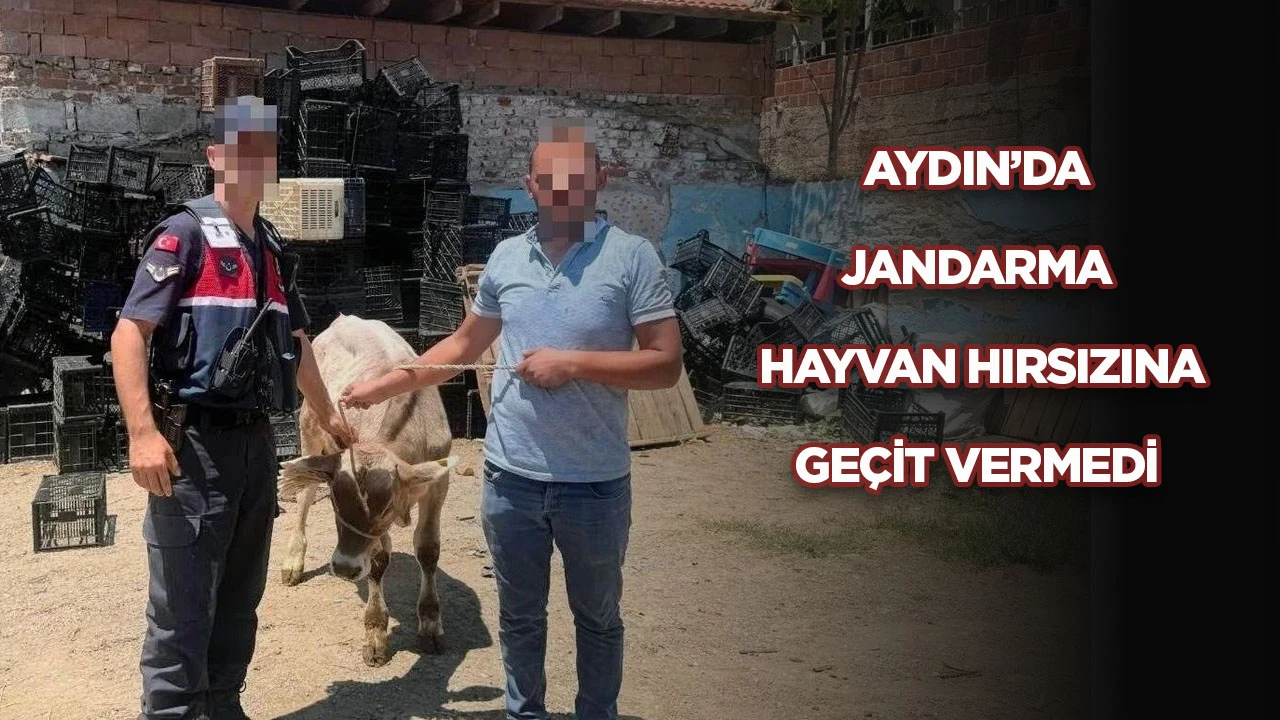 AYDIN’DA JANDARMA HAYVAN HIRSIZINA GEÇİT VERMEDİ