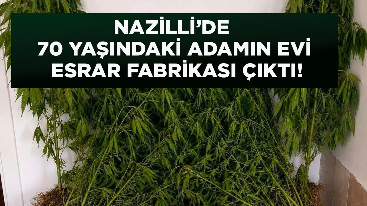 NAZİLLİ’DE 70 YAŞINDAKİ ADAMIN EVİ ESRAR FABRİKASI ÇIKTI!