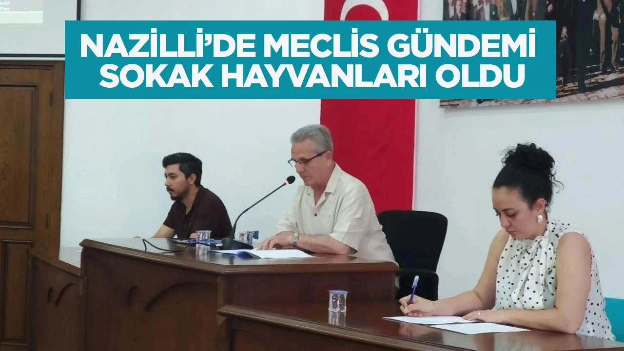 NAZİLLİ’DE MECLİS GÜNDEMİ SOKAK HAYVANLARI OLDU