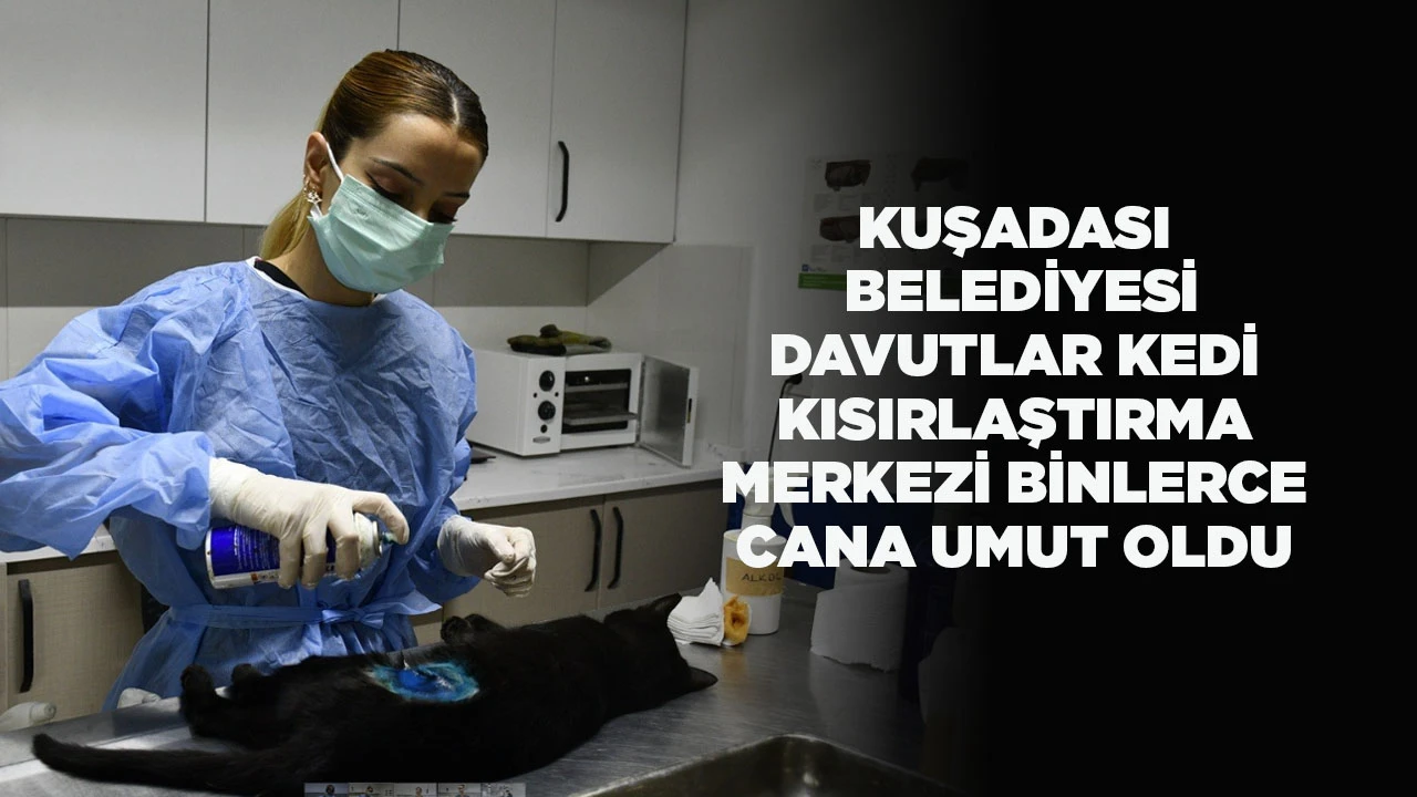 KUŞADASI BELEDİYESİ DAVUTLAR KEDİ KISIRLAŞTIRMA MERKEZİ BİNLERCE CANA UMUT OLDU