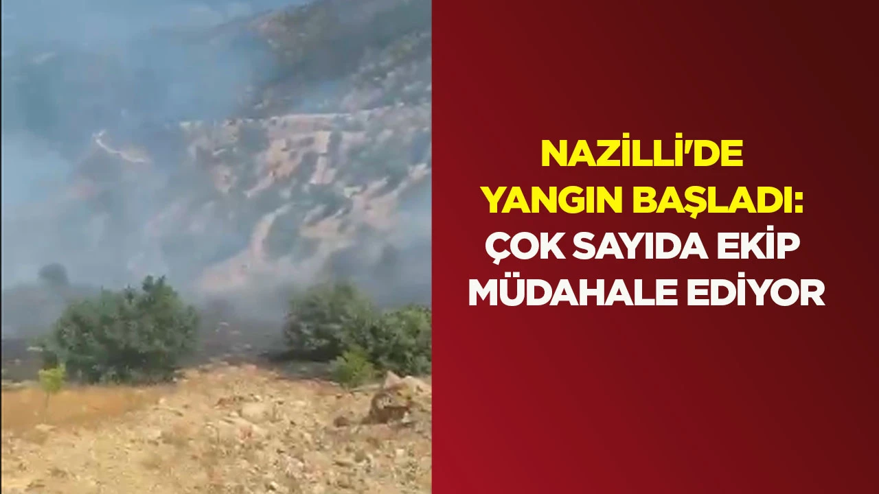 Nazilli'de yangın başladı: &Ccedil;ok sayıda ekip m&uuml;dahale ediyor