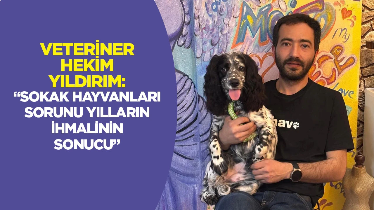 Veteriner Hekim Yıldırım: &ldquo;Sokak hayvanları sorunu yılların ihmalinin sonucu&rdquo;