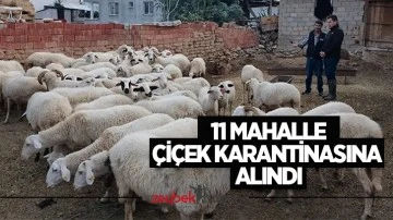 11 mahalle &ccedil;i&ccedil;ek karantinasına alındı