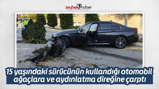 15 yaşındaki s&uuml;r&uuml;c&uuml;n&uuml;n kullandığı otomobil ağa&ccedil;lara ve aydınlatma direğine &ccedil;arptı