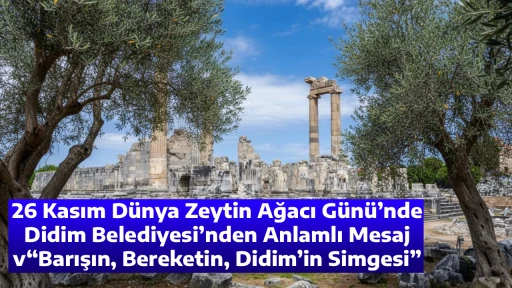 26 Kasım D&uuml;nya Zeytin Ağacı G&uuml;n&uuml;&rsquo;nde Didim Belediyesi&rsquo;nden Anlamlı Mesaj &ldquo;Barışın, Bereketin, Didim&rsquo;in Simgesi&rdquo;