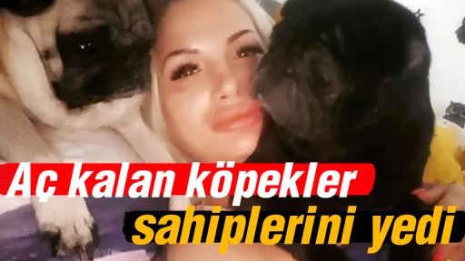 A&ccedil; kalan k&ouml;pekler, sahiplerini yedi