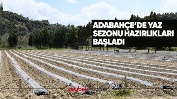 Adabah&ccedil;e&rsquo;de yaz sezonu hazırlıkları başladı