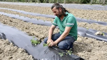 Adabah&ccedil;e&rsquo;ye yaz bereketiyle geldi