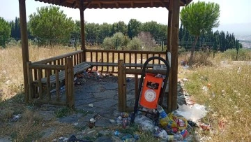 AD&Uuml;&rsquo;deki kamelyalar mikrop yuvası oldu